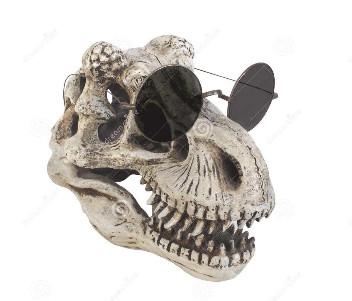 DeuceRell22's tweet image. Do I look like I got left off of Noah&apos;s ark??? #takeoffchallenge @IamAkademiksTv