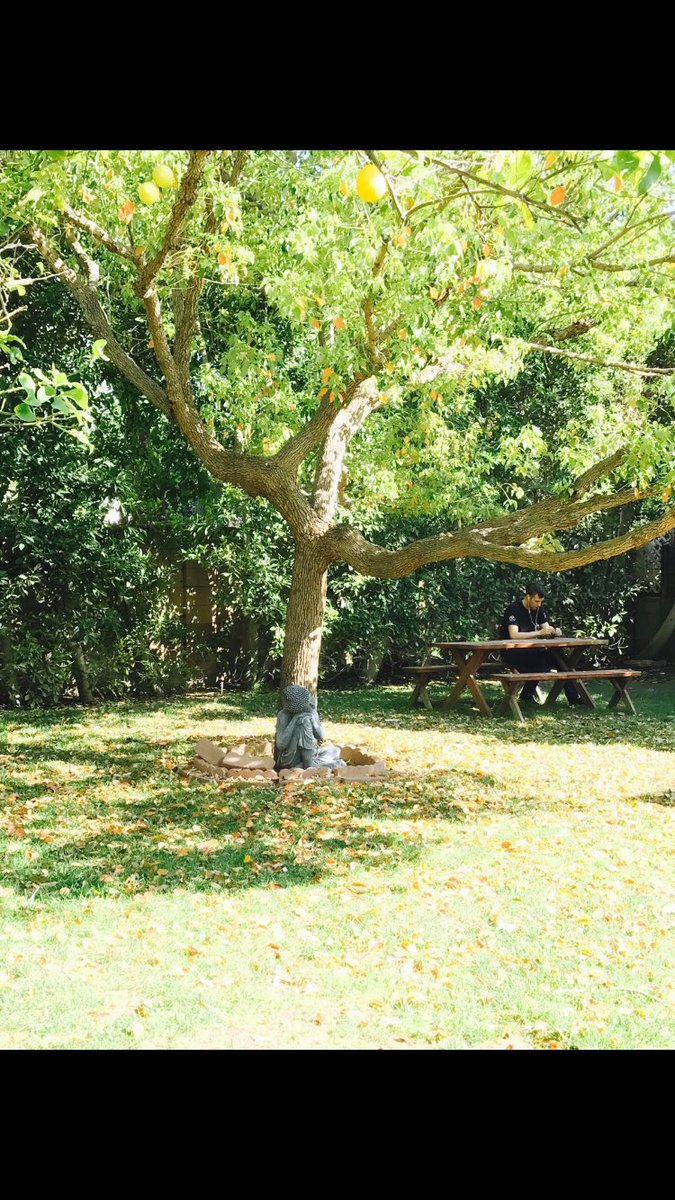 ilivevr's tweet photo. "Where there is peace and meditation, there is neither anxiety nor doubt." Another #MindfulMonday at the #iLIVEvr Los Angeles studio. https://t.co/K4U7ghwJ9b