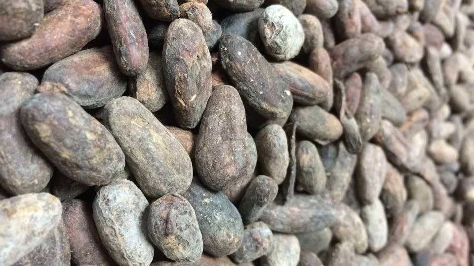 #DYK that <a href="/HabitualChoklat/">Habitual Chocolate</a> only uses three ingredients? #chocolate