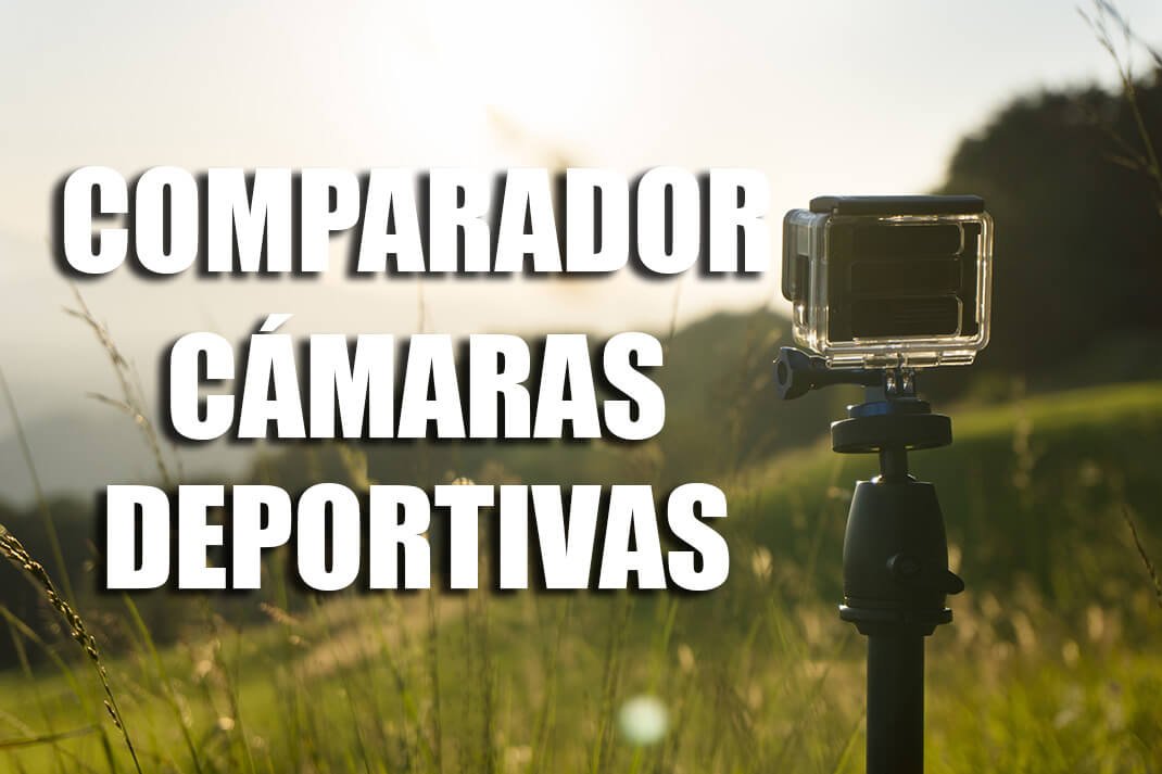 _davidrosillo_ tweet picture