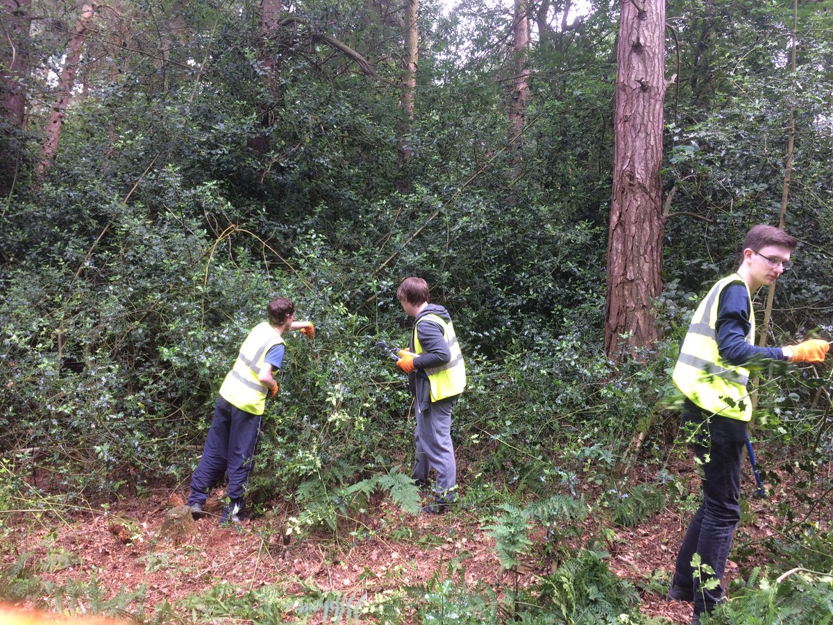 RossettPost16's tweet photo. Well done to all the Sixth Form students who gave back to the community today - painting, planting, litter picking and balsam bashing! https://t.co/a57EH5vbYX