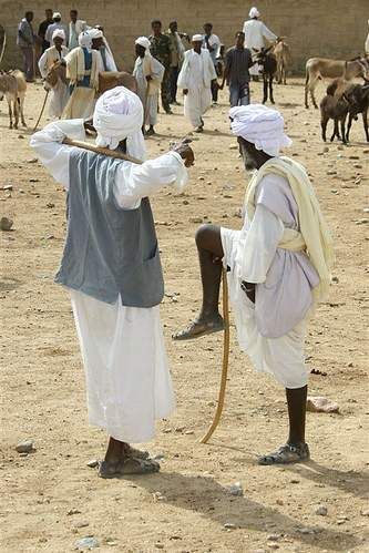 ERIHominin's tweet photo. #Eritrea: A country where #Muslims and #Christians Live in Peace
https://t.co/ZhntuyooZm https://t.co/IVfBtSeGAY
