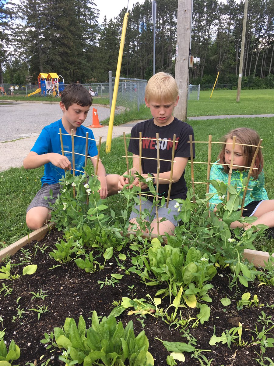 Brenda St.John tweet media