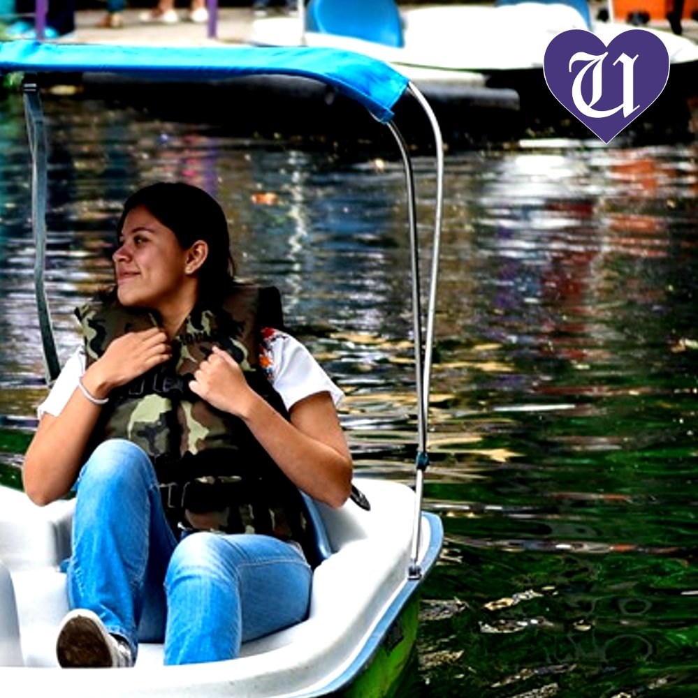 UniondeMorelos's tweet photo. #NoticiaAmable del día ☺️ | 🌾🍃🌊
Rehabilitan el lago del Parque Barrancha #Chapultepec en #cuernavaca 👏😃

| https://t.co/Aw1ARP3KyO | https://t.co/cBEZbRLOew