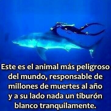 APOYO ESCOLAR INTEG. tweet media