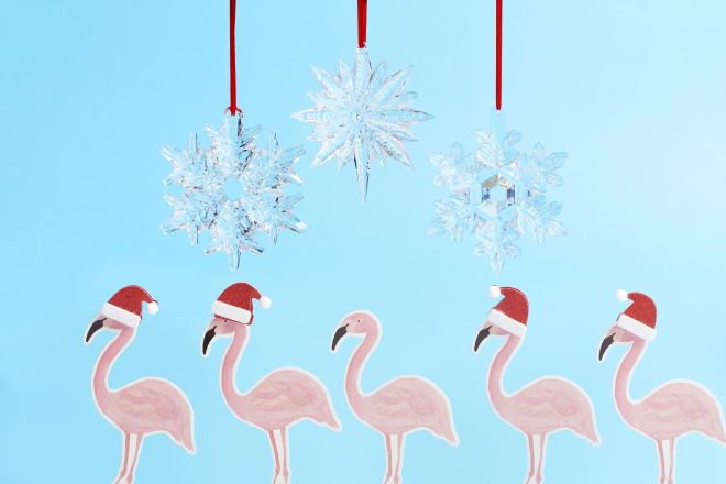 ShopHQOfficial's tweet photo. The Evine sleigh is about to fly away but before it does shop along w/@Waterford during our #HalfwaytoXmas event! - https://t.co/Ov0j0igmNp https://t.co/bX2Ti2hJwr