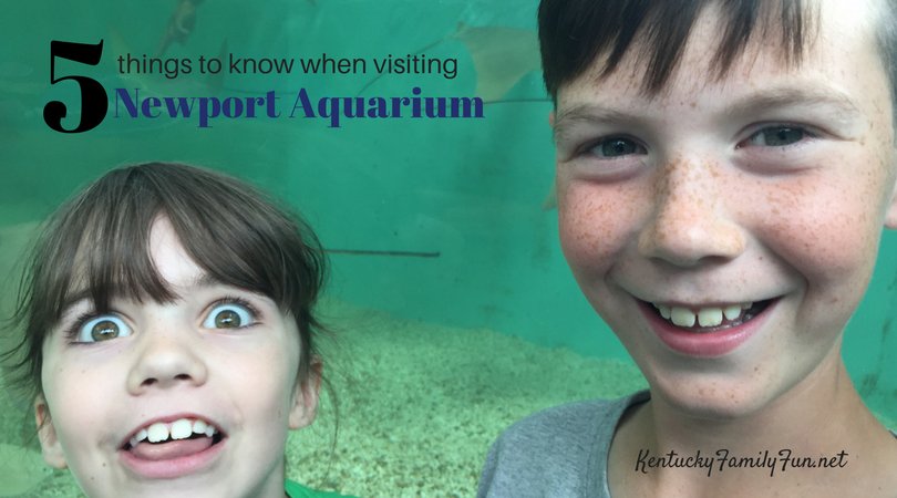 KYFamilyFun's tweet photo. We have some helpful tips for you for visiting @NewportAquarium https://t.co/9QMjiAs1pU #kyfamilyfun https://t.co/njLplFbtbg