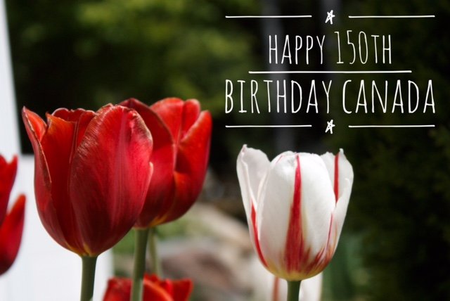 LoriGrahamMTL's tweet photo. Canada's big birthday is coming up this weekend. What are your plans to celebrate #Canada150 
We'll share on @CTVMontreal this week! https://t.co/oWWN3R8pVY