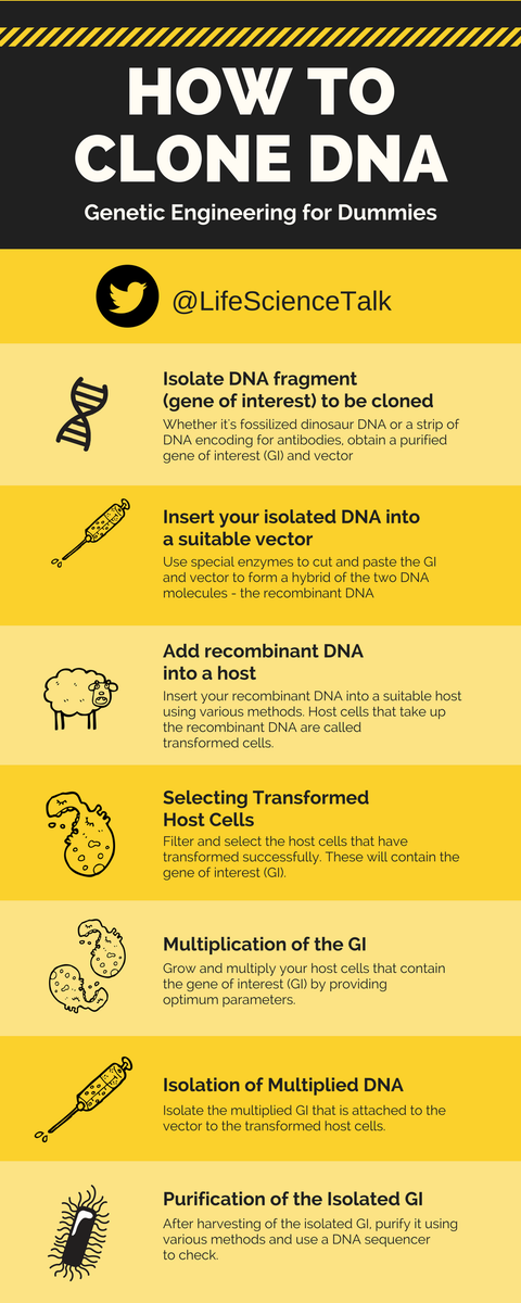 LifeScienceTalk's tweet photo. How to clone DNA for dummies! #ScienceTwitter #ScienceMatters #DNACloning https://t.co/jARkl6QwHl