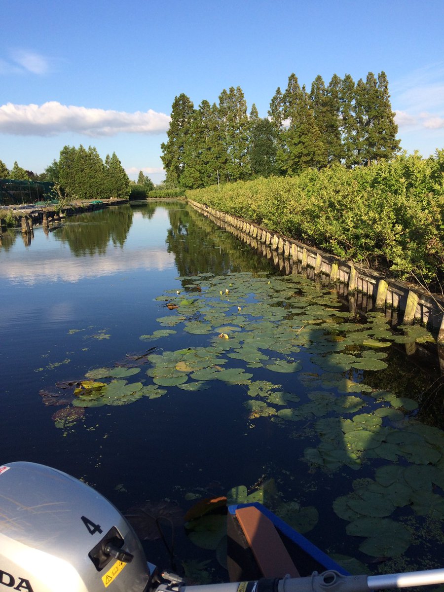 Vanavond #hulpouders #bedankavond <a href="/obs_depopulier/">obs De Populier</a> #vaartochtje Boskoop