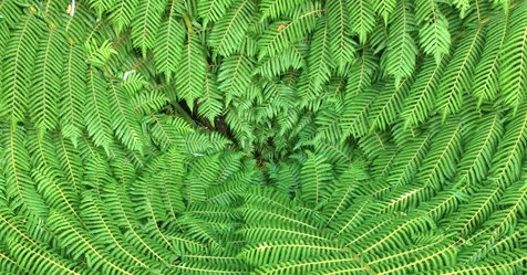 NZCER's tweet photo. Schools and Kāhui Ako can now use our free online survey tool. https://t.co/kFQZ957qNO useful info for school inquiry, review and planning https://t.co/VliIbeSNaI