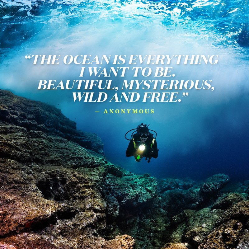 sportdiver's tweet image. Living the dive life! 🙌