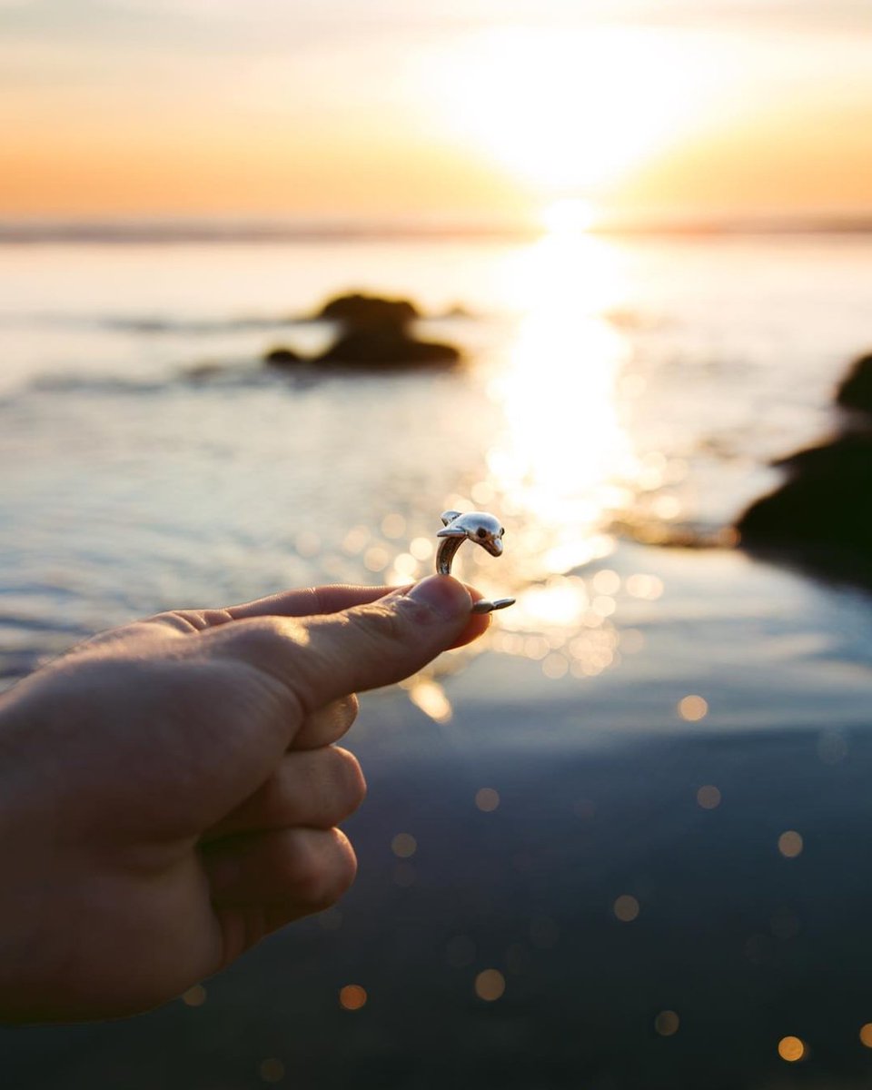 Wear Felicity tweet media