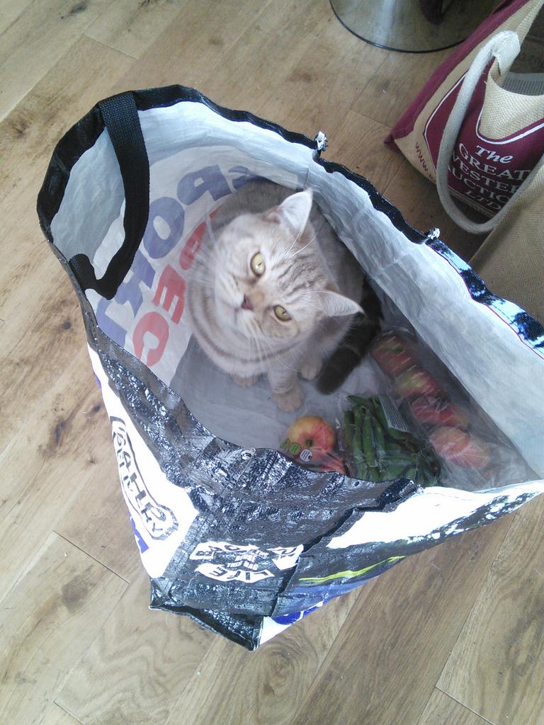 Shilasdair Shop tweet media