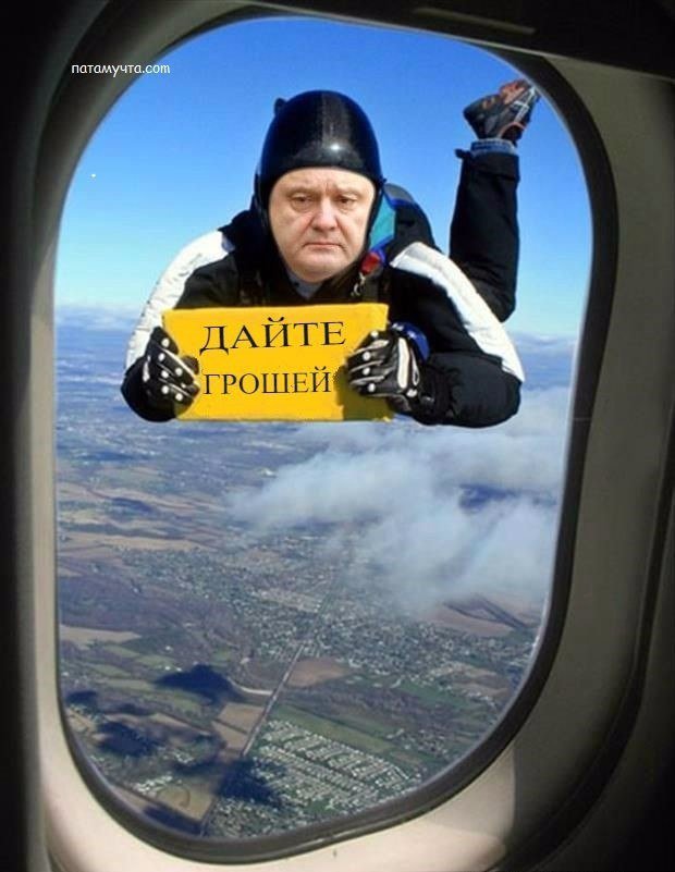 Порох пустился в путешествие...Так сказать...Во все тяжкие!😆