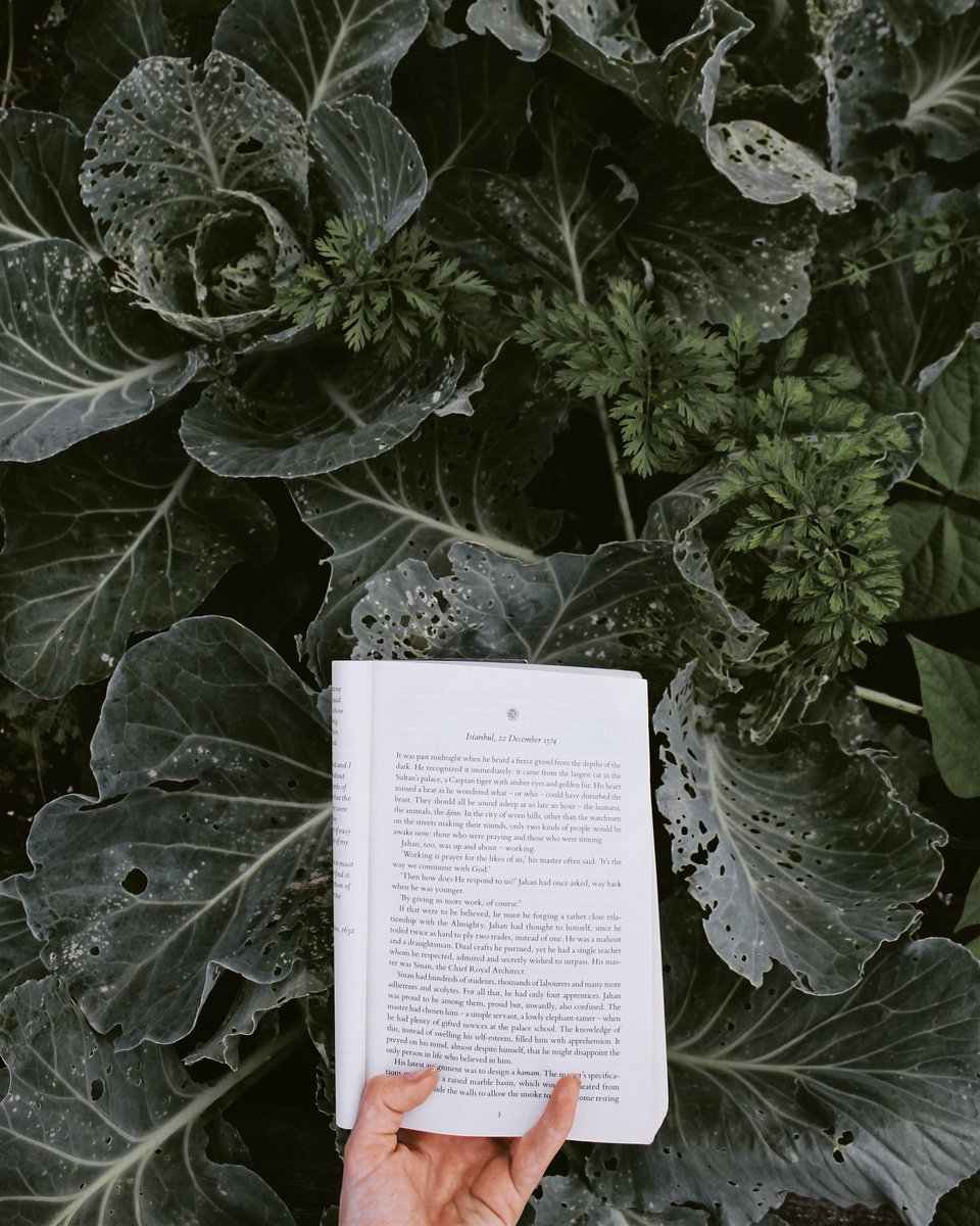 Pinterest lifeingray Minimalist book, Book aesthetic