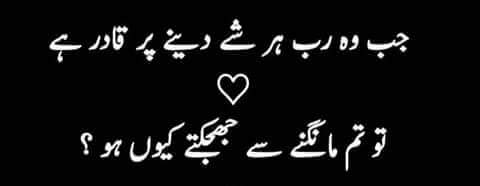 Azra0aliya's tweet photo. https://t.co/DIQQopJzD7