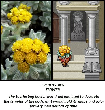 MediaBurning's tweet photo. For this week's #mythmonday , we are looking at the everlasting flower. 

#pixelart #gamedev #APOH #greekmyth #rpgmakermv #RPGMAKER https://t.co/8tgNG0lewx
