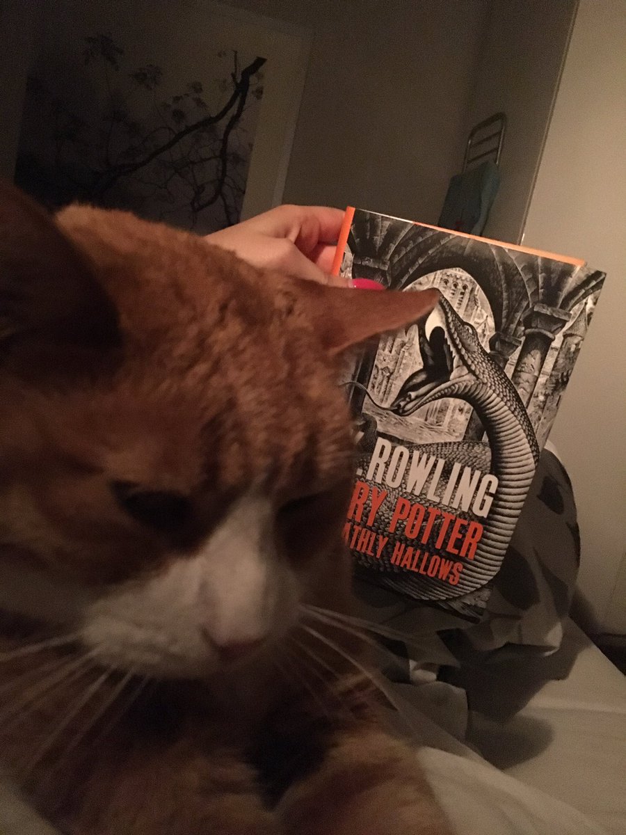 LiveAndLetsGo's tweet photo. Reading the last chapters on this #HarryPotter20thAnniversary day with cat on my chest! #HarryPotter20 https://t.co/tIHnoDQxHS