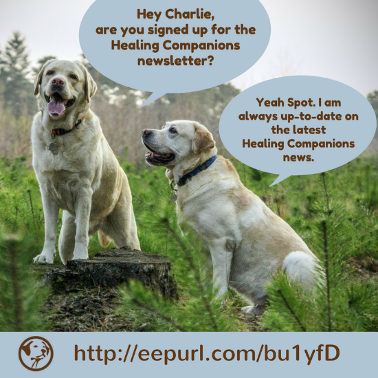PSDHealingDogs's tweet photo. Join Spot and sign up for the Healing Companions Newsletter. #PsychiatricServiceDogs https://t.co/ZwfDmjGhga https://t.co/ppCmWEsX1H