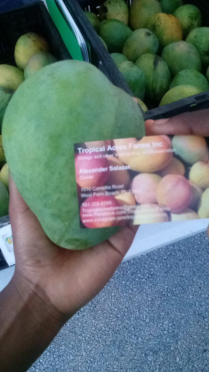 At MangoFest I discovered Tropical Acres Farm! This is a local farm in Fl, Wpb area &amp; they sell mangos by th pound!😁
➡<a href="/TropicAcresFarm/">Tropical Acres Farms</a>