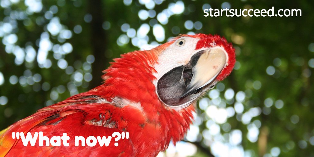 startgetgo's tweet image. Hey! Discover how to get started here! startsucceed.com/start5