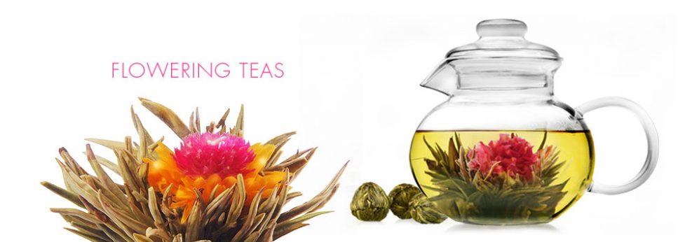 Coming to the Tea Bar @ #MuralCityCoffeeCo