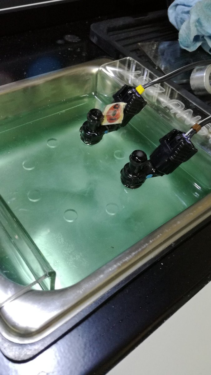 クロスカブ乗り 見習い組込機器エンジニア 縦断完 お盆の北海道ツーリングに備え カブのインジェクター掃除をやってもらいました km走ってます 真っ直ぐ吹けるようになり トルクアップがはっきり感じられました こんなに変わるとは 素人が