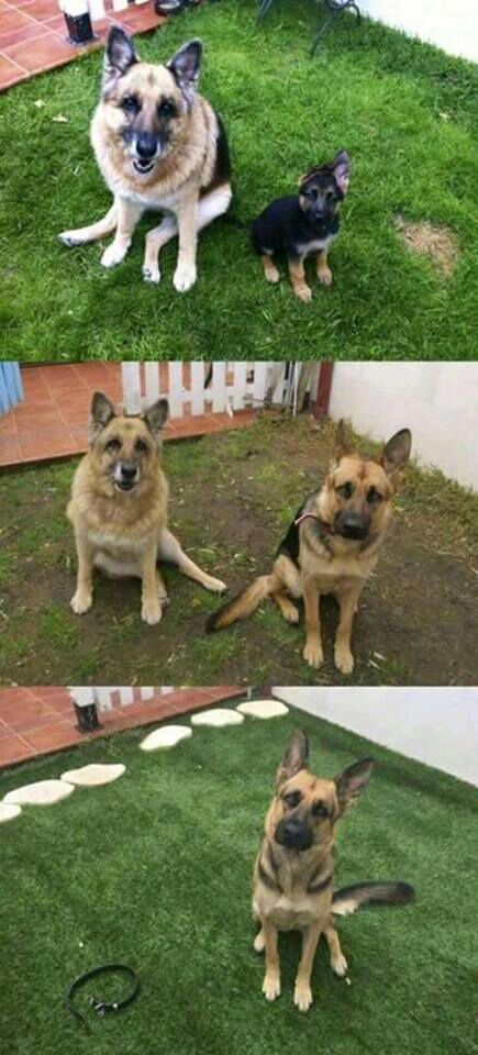 Después de ver esto, mi corazón quedo destruido