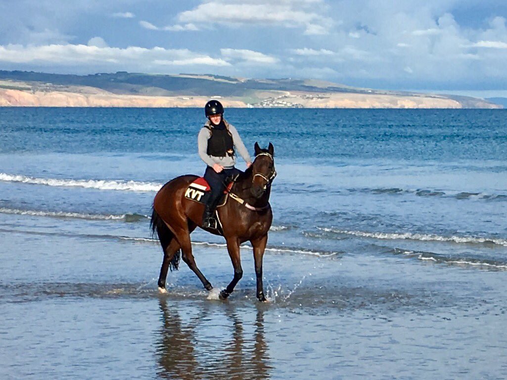 Williamclarken (@williamclarken) on Twitter photo Mio Dio loving his freshen up at Aldinga between runs <a href="/Racing/">Racing.com</a> @TheRacesSA <a href="/eaglepunt/">John Kelton</a> <a href="/lachie_weekley/">Lachlan Weekley</a> Mio Dio loving his freshen up at Aldinga between runs <a href="/Racing/">Racing.com</a> @TheRacesSA <a href="/eaglepunt/">John Kelton</a> <a href="/lachie_weekley/">Lachlan Weekley</a>