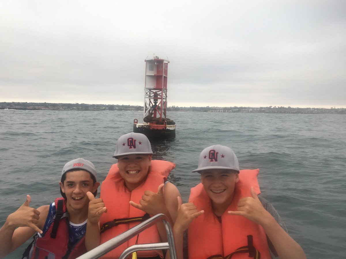 Checking out the Sealions outside Newport Harbor. 
#newportharbor, #balboaboatrentals