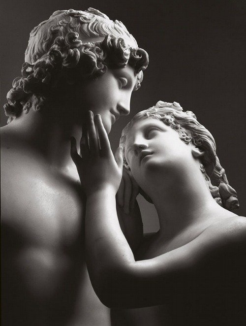 paw_space's tweet photo. "The whispered hush of you the delicate brush of you and the passionate rush of two"~Ocean https://t.co/gvObK8dH5c