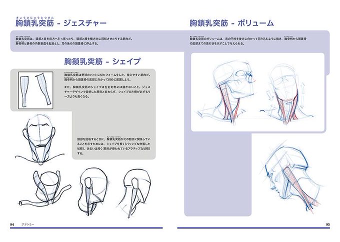 人体の描き方のtwitterイラスト検索結果 古い順 人体の描き方のtwitterイラスト検索結果 古い順