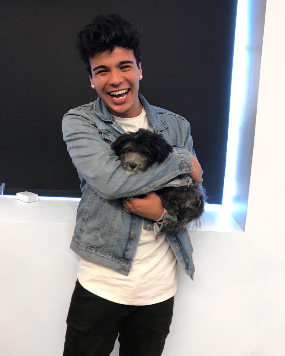villalobossebas's tweet photo. Los perritos me hacen la vida más feliz https://t.co/ndzRk2wBRZ