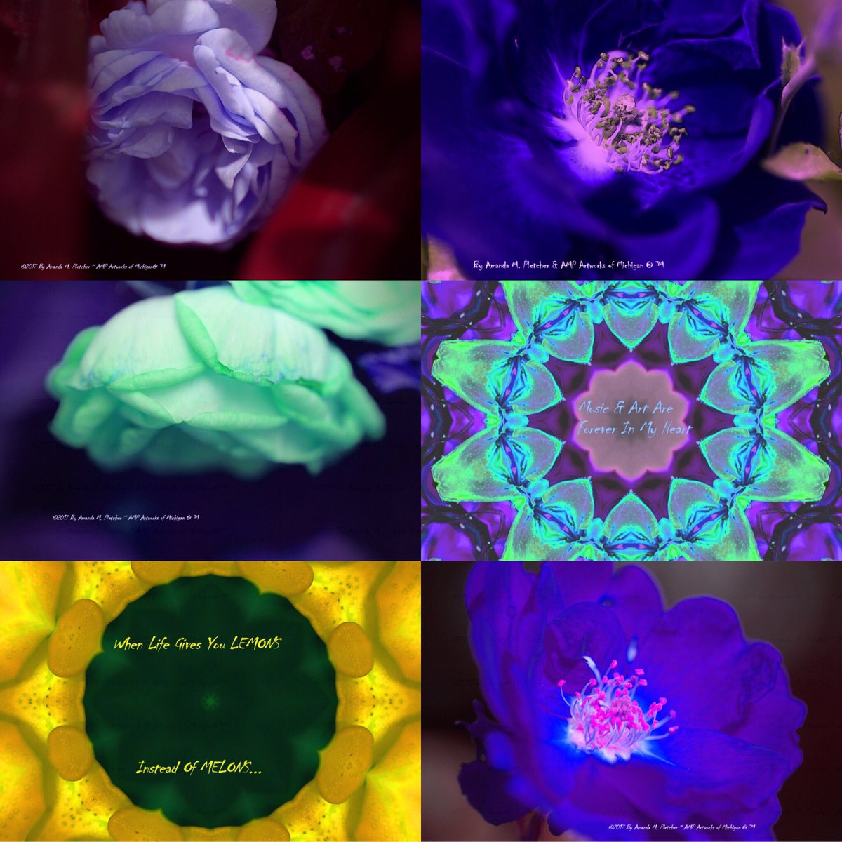 AMPartworksofMI's tweet photo. #AMPartworksofmi #MondayMotivation #Art #Photography #Bright #Colorful #Designs #Tanks #Tees #SmallBiz #4thofJuly #Sale #NextWeek ๐๐๐๐ฅ๐บ๐ธ https://t.co/WXh6UIrZRi