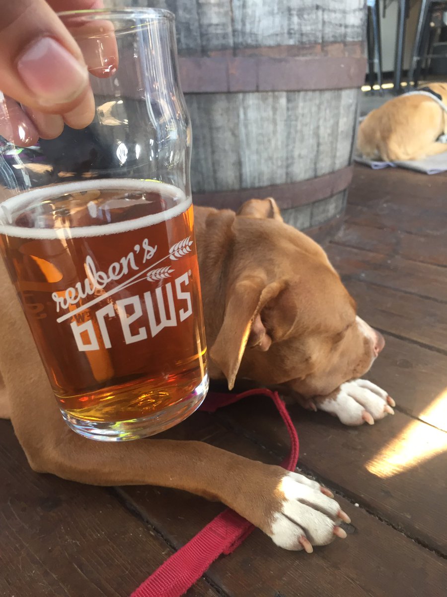 ipaenthusiast's tweet photo. Summers here @Reubensbrews #IPA#dogfriendly https://t.co/7qxYVVqXlJ