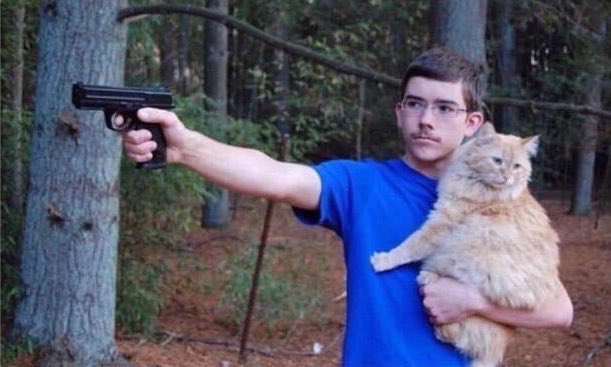 mandellivaleria's tweet image. "tira o gato do sofá pra eu sentar"