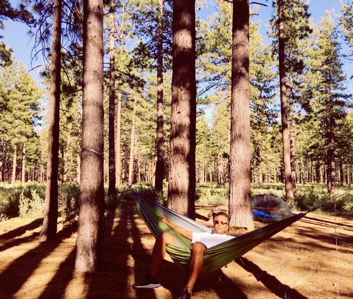 AndreRoyo's tweet photo. if a tree falls in the forest...wait I'm here I'll hear it and it better not fall on Me!! #Natureboy #Bxborn #Quietbeforethestorm https://t.co/zJkNQxc15Q