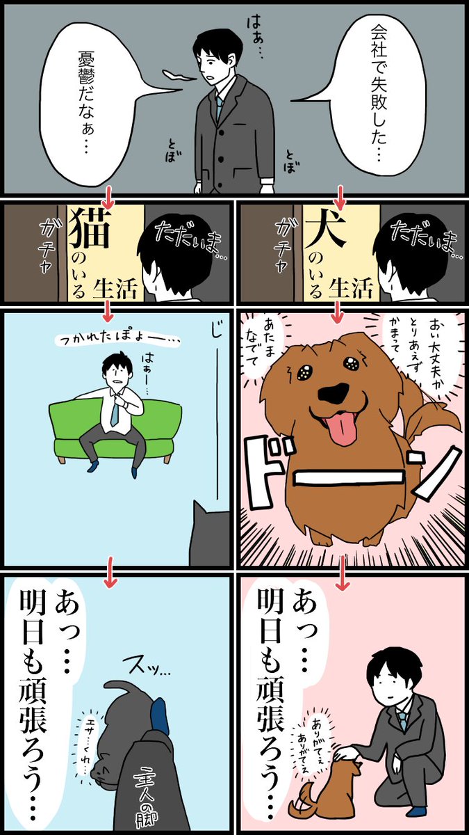 お文具 Na Twitteru 犬のいる生活 猫のいる生活 わいの猫と いとこの犬