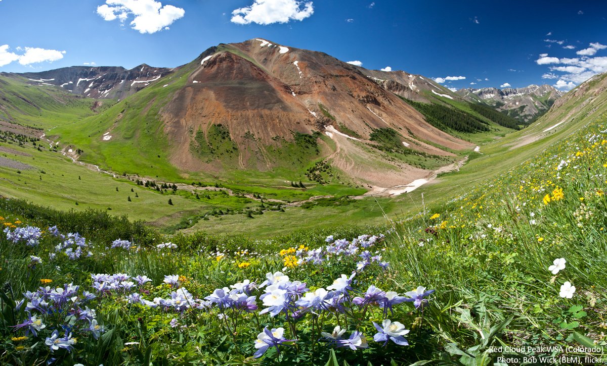 Wilderness's tweet image. "Love of nature is a common language that can transcend political or social boundaries." - Jimmy Carter