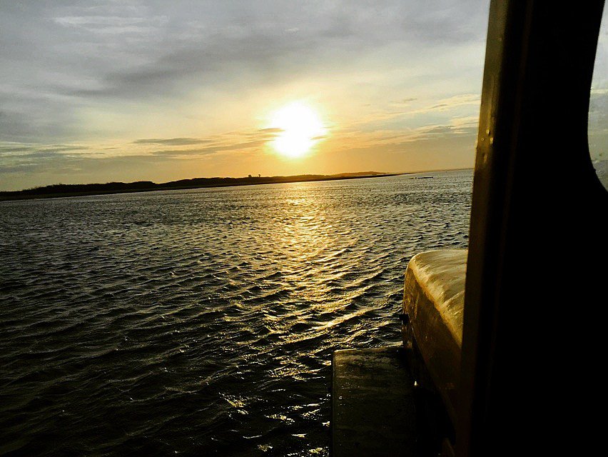 earthstenant's tweet image. Sun Kissed Haunted Dhanushkodi Beach, Tamil Nadu earthstenant.com/blog/sun-kisse…