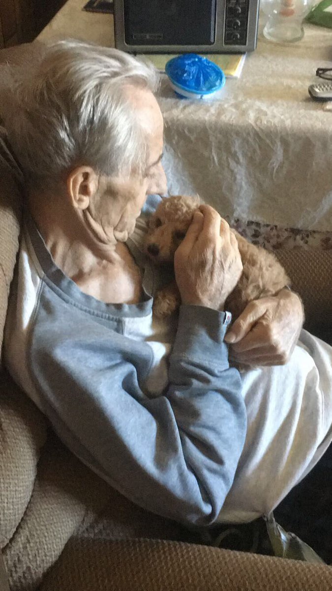tseWeimaK's tweet photo. My grandpa got to meet his great grandsons for the first time the other day ❤️❤️❤️ so blessed https://t.co/tTxybk0IBH