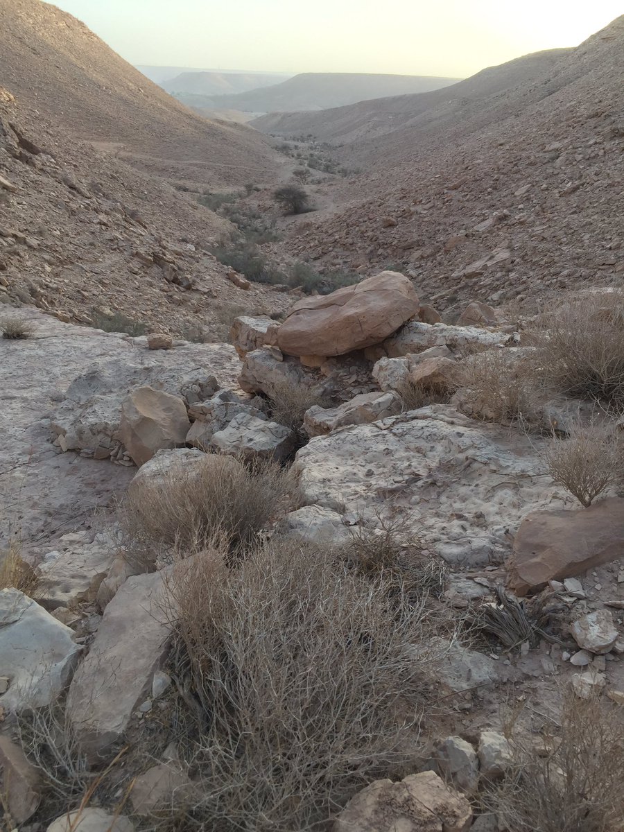 Ermsolnzz3's tweet photo. مشي ساعتين هذا الصباح بين الأودية في الغاط استعداداً لرحلة إلى جبل إفيريست في الهملاياhttps://t.co/eIIMAeU0Wu ثصف