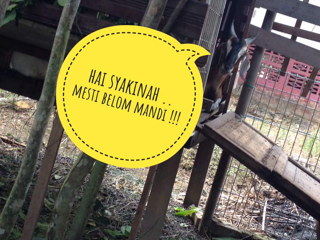 kasya_nsz's tweet photo. Elok sangat ahh perangai kau tu ekk membahan aku 😒 #enemyforlife #ydpmereng https://t.co/td8KmgevTT