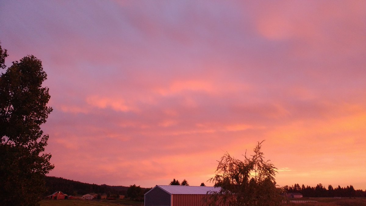 spokanehouse's tweet photo. RT @tennis45luv: The sky lit up after the storm! ❤ #wawx #Spokane #cloudcolors https://t.co/GfOzfAVGwl
