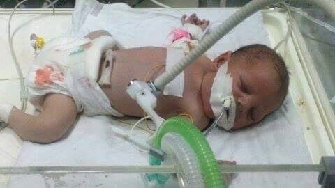 View image on Twitter