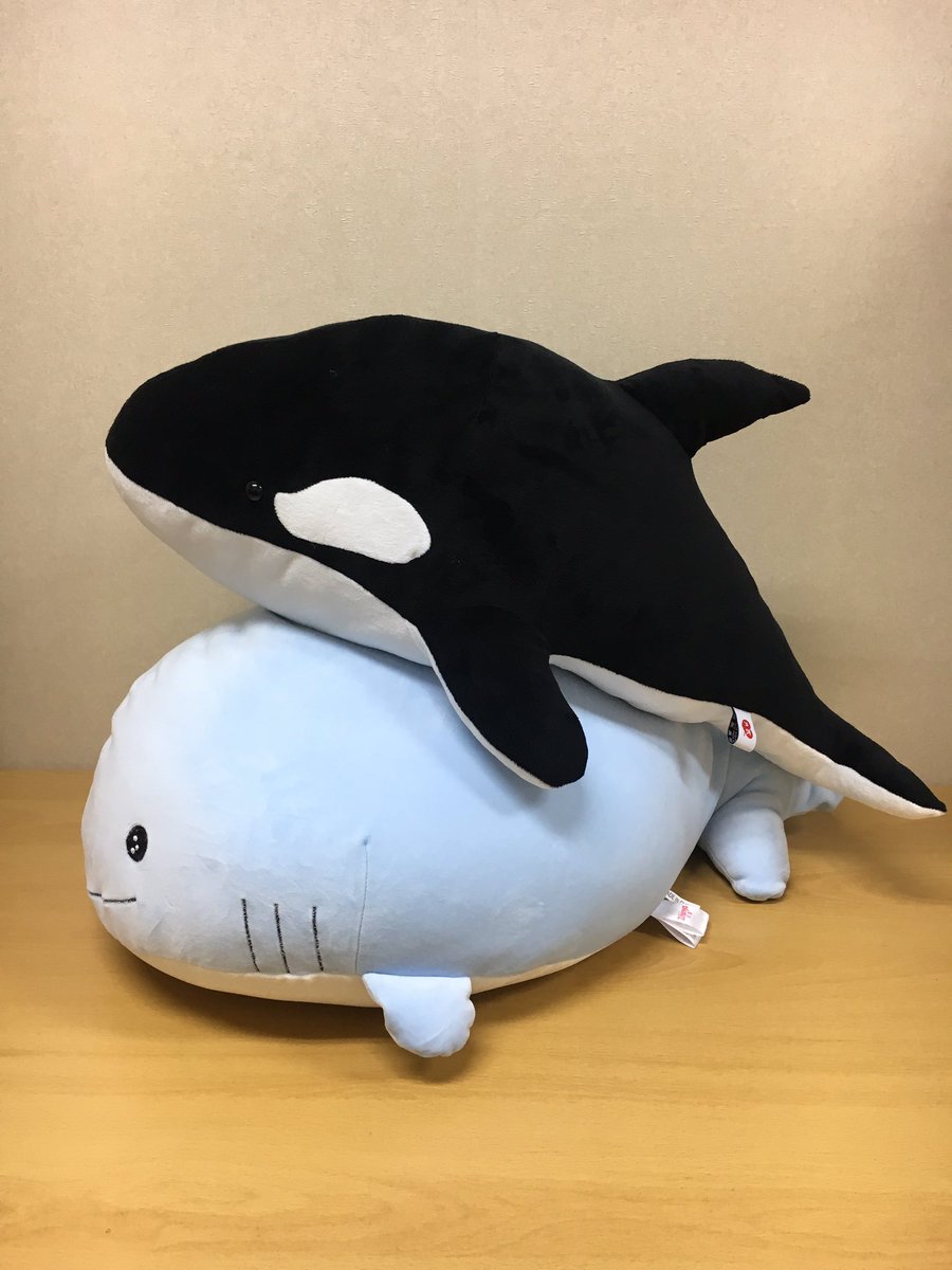 범고래 쿠션과 구름 고래 쿠션(69cm)의 크기 비교 사진입니다