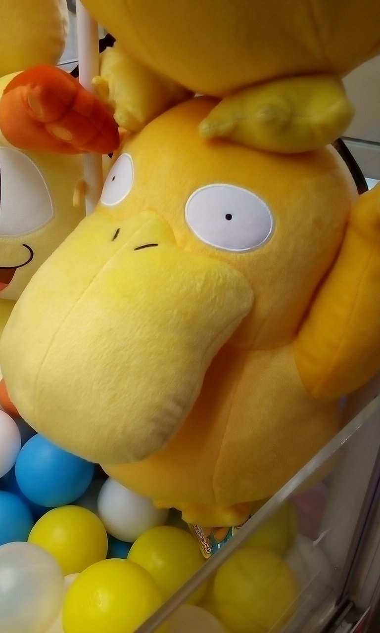 ゲームパニック三郷 プライズ 本日新入荷 ポケットモンスター サン ムーン めちゃでか コダック ぬいぐるみ 全１種 やせいのコダックがあらわれた 大型サイズぬいぐるみです B ポケモン ポケモンサンムーン ポケモン好きと繋がりたい