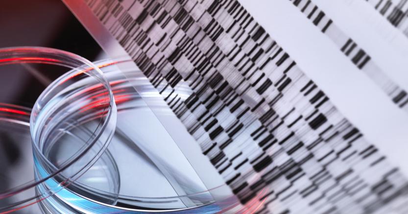 sole24ore's tweet image. Sol punta sulla genomica: in arrivo un laboratorio per sequenziare il Dna dlvr.it/PQMnJ9