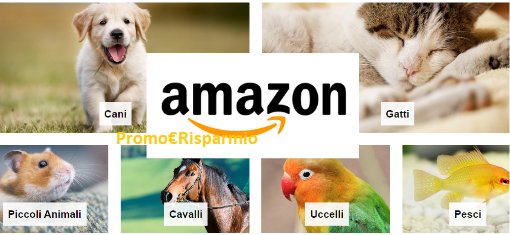 PROMOERISPARMIO's tweet photo. #Amazonpetstar : partecipa alla selezione e scopri il nuovo negozio online #Amazon https://t.co/FhDGCpsdl2 https://t.co/ZGWED70iFO